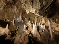 Baumannshöhle